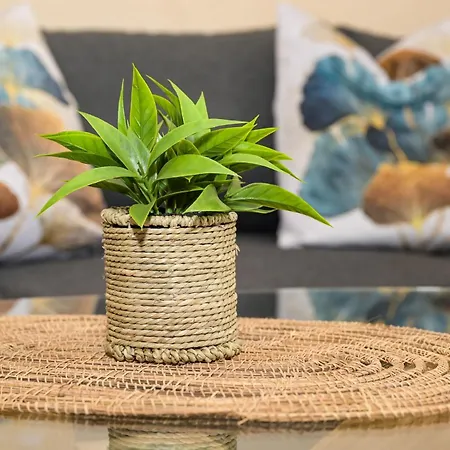 Apartman Palma Jajca