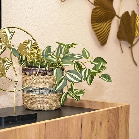 Palma Apartment